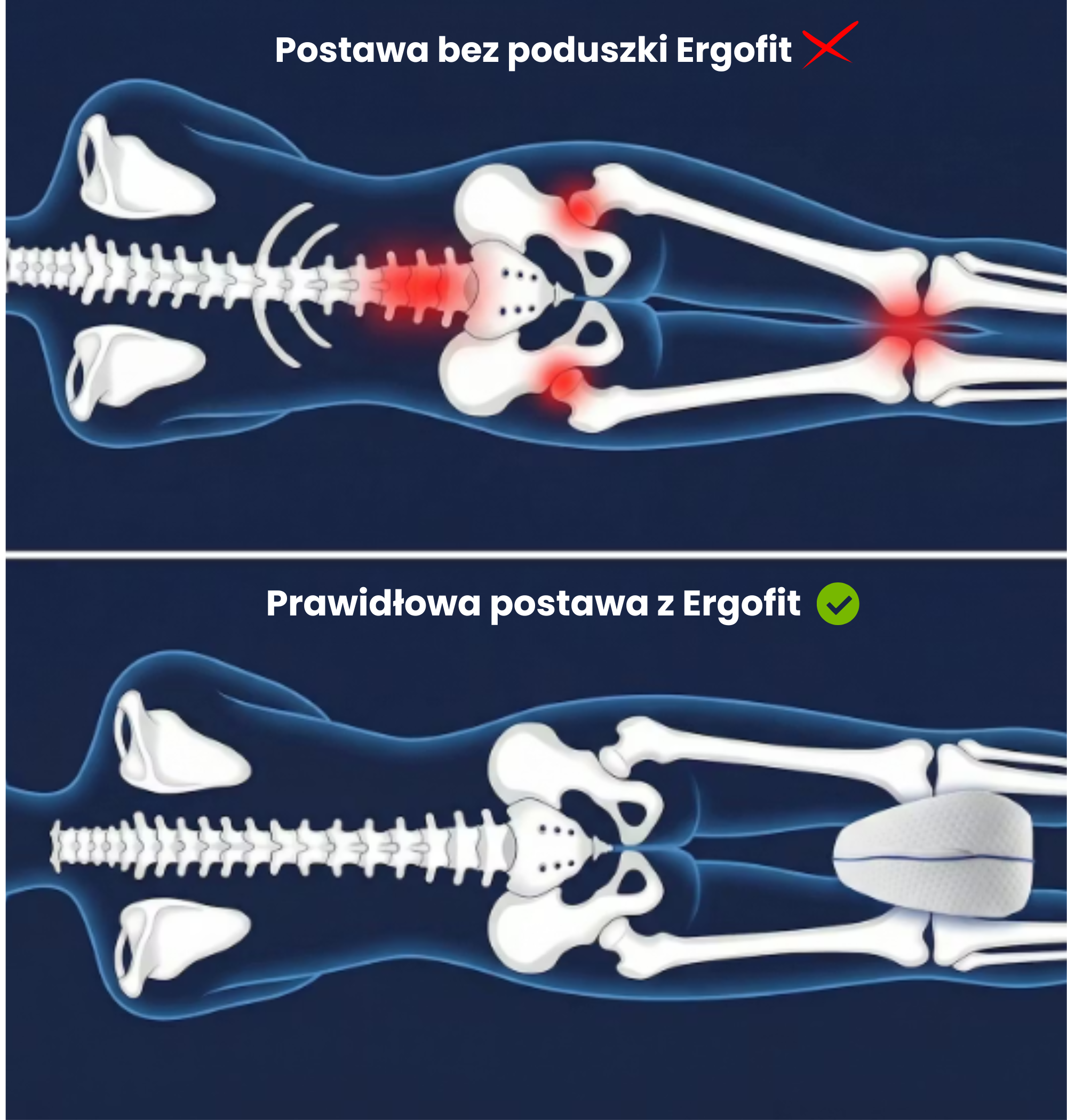 Ergofit - ortopedyczna poduszka do spania